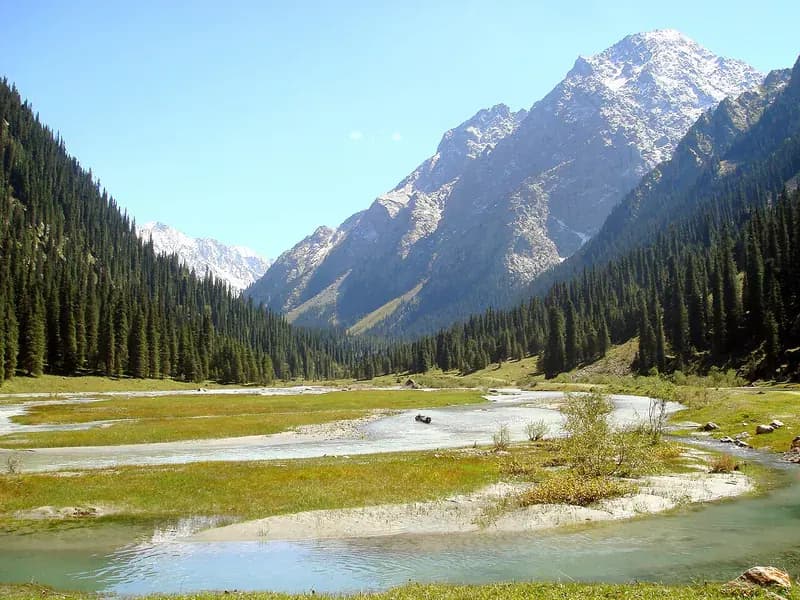Karakol valley: spruce forest, a mountain river and a snowy peak