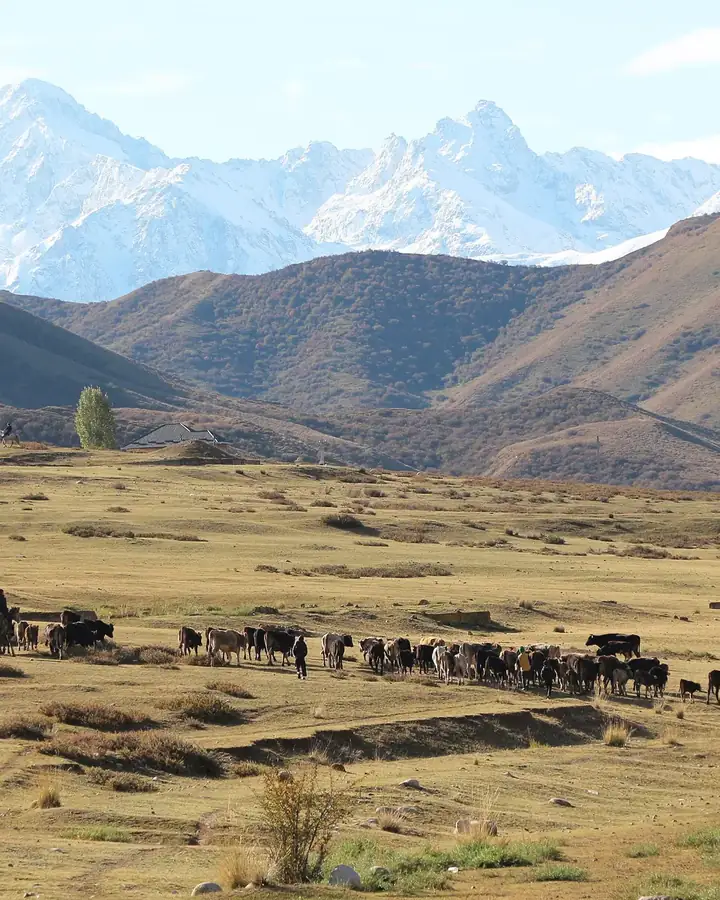 Kyrgyzstan
