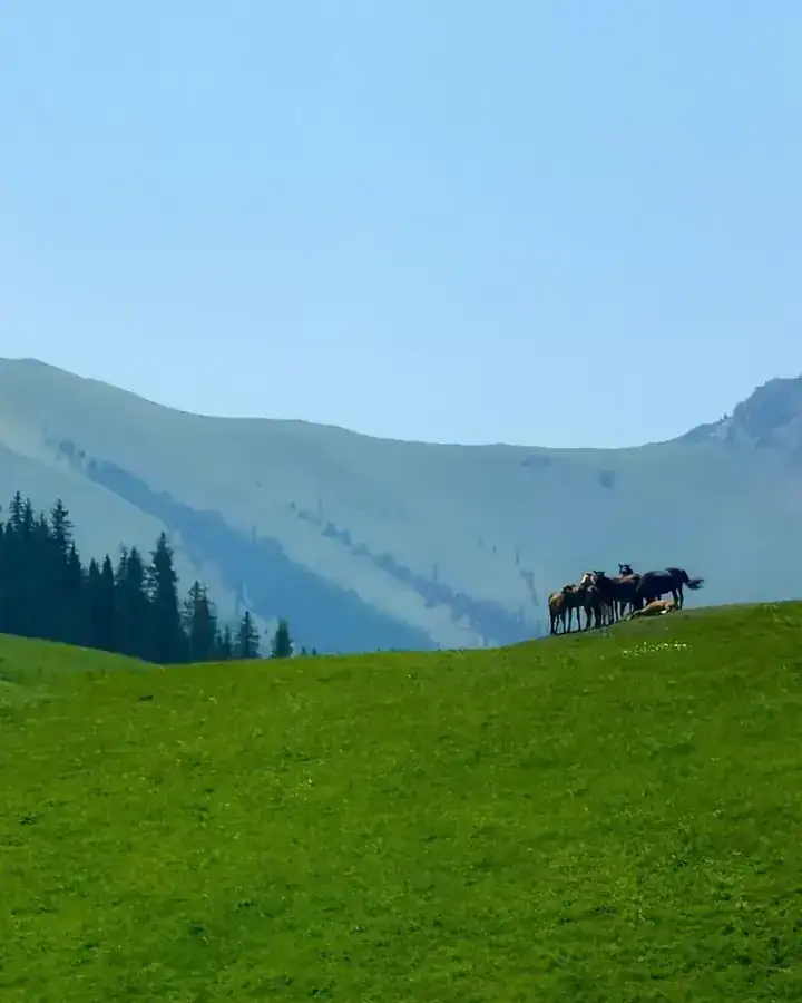 Кыргызстан
